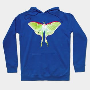 Luna Moth Hoodie